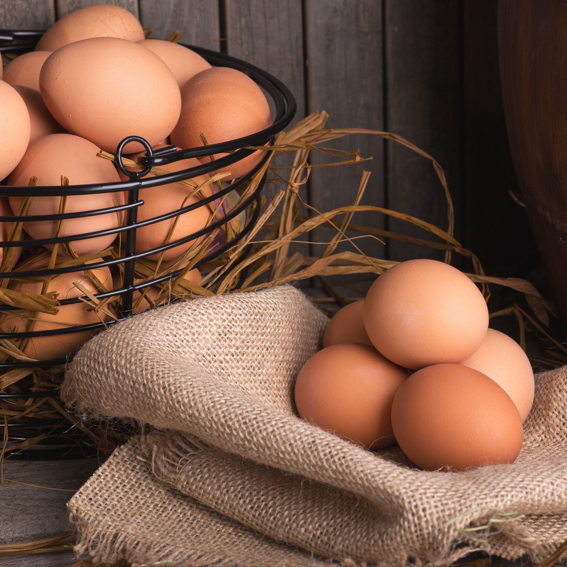 eggs from a ground-based poultry farm